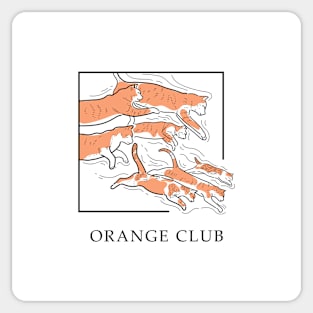 Orange club Sticker